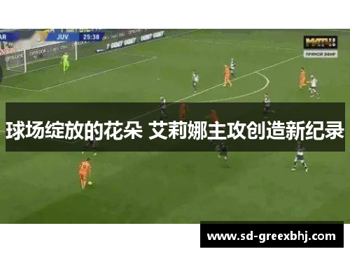 球场绽放的花朵 艾莉娜主攻创造新纪录